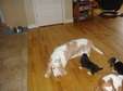 Enlarge photo 37