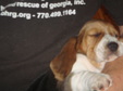 Enlarge photo 43