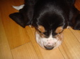 Enlarge photo 46