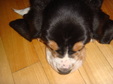Enlarge photo 47