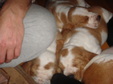 Enlarge photo 48
