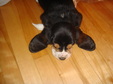 Enlarge photo 49