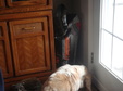 Enlarge photo 56