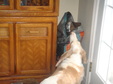 Enlarge photo 58