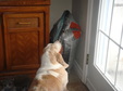 Enlarge photo 59