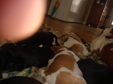 Enlarge photo 64