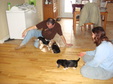 Enlarge photo 92