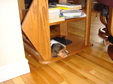 Enlarge photo 96
