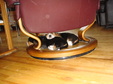 Enlarge photo 97