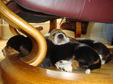 Enlarge photo 99