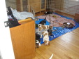Enlarge photo 107
