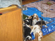 Enlarge photo 108