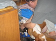 Enlarge photo 109