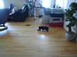 Enlarge photo 110