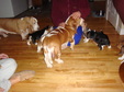 Enlarge photo 114