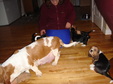 Enlarge photo 115