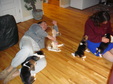 Enlarge photo 118