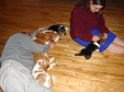 Enlarge photo 122