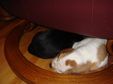 Enlarge photo 123