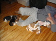 Enlarge photo 124