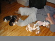 Enlarge photo 157