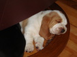 Enlarge photo 127