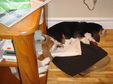 Enlarge photo 129