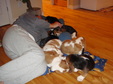 Enlarge photo 131