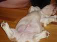 Enlarge photo 137