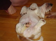Enlarge photo 138