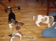 Enlarge photo 139