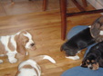 Enlarge photo 140