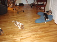 Enlarge photo 141