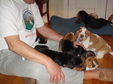Enlarge photo 143