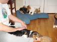 Enlarge photo 145