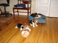 Enlarge photo 147