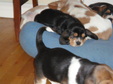 Enlarge photo 148