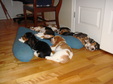 Enlarge photo 155