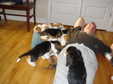 Enlarge photo 158