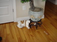 Enlarge photo 166