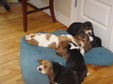Enlarge photo 167