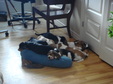 Enlarge photo 169