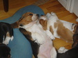 Enlarge photo 172