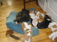 Enlarge photo 175