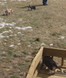 Enlarge photo 180