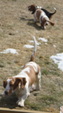 Enlarge photo 187