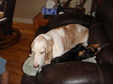 Enlarge photo 271