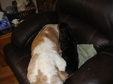 Enlarge photo 272