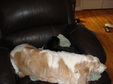 Enlarge photo 273