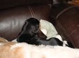 Enlarge photo 274